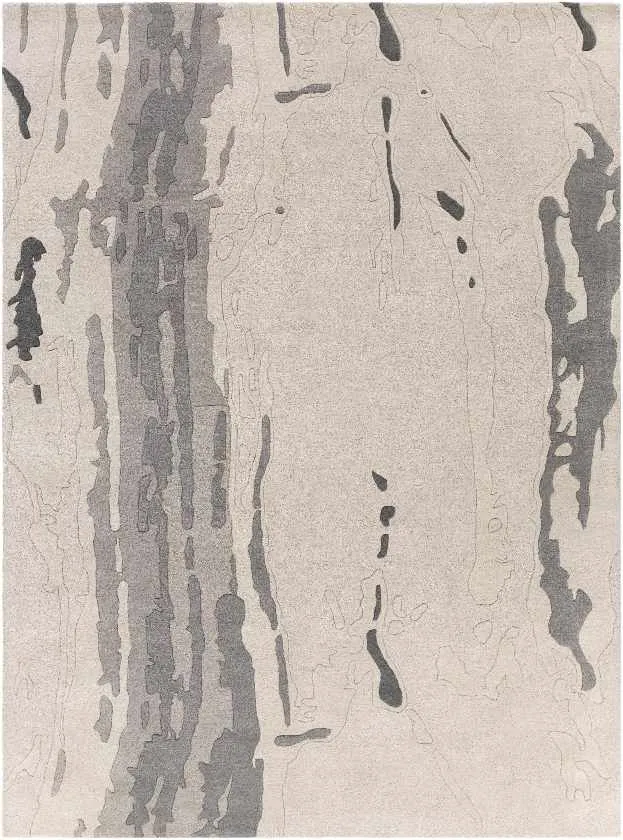 Sasvil Modern Beige Area Rug